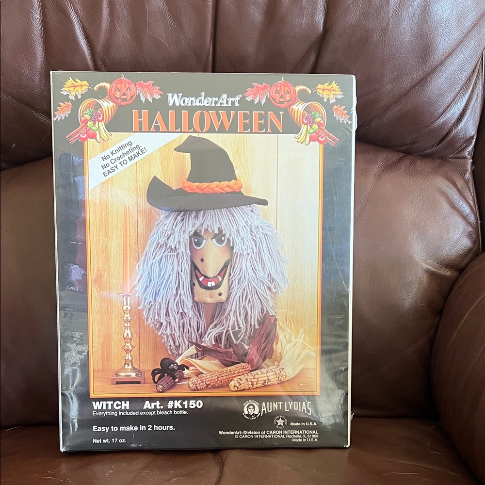 Halloween WonderArt Witch Craft Kit - Gray Hair & Black Hat